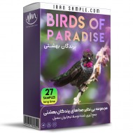 صداهای پرندگان بهشتی Birds of paradise صداهای پرندگان بهشتی Birds of paradise
