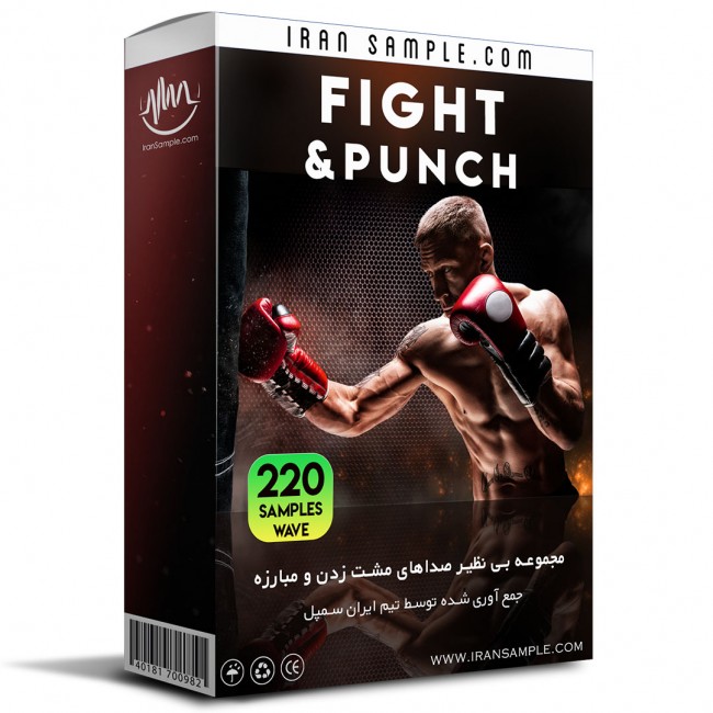 صدای مبارزه و مشت زدن Fight & Punch Sound Effect