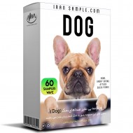 صدای سگ Dog sound effects صدای سگ Dog sound effects